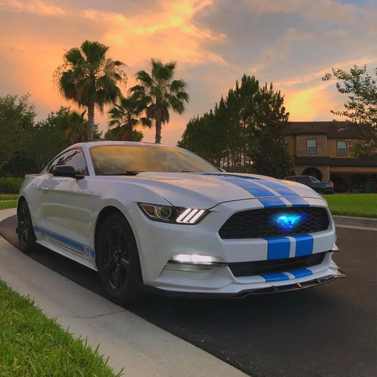 Ford Mustang Illuminated Logo-Light Up Pony Badge for Ford Mustang & Mach-E,Perfect for Front Grill, Trunk, and Rear